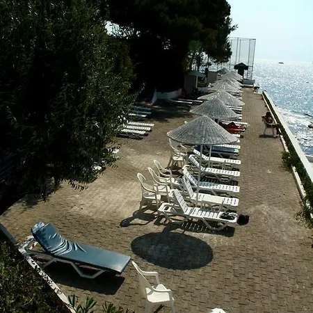Kismet Kusadası
