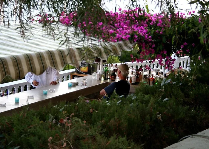 Kismet كوشاداسيه