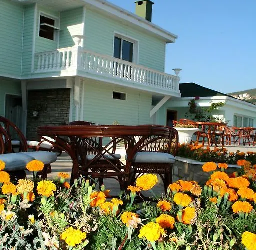 Kismet Hotell